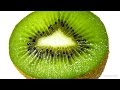 Kiwi Time Lapse