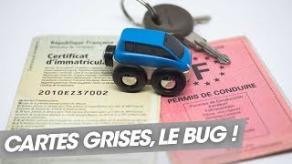 Cartes grises : le grand bug Cartes grises : le grand bug