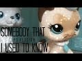 Lps  somebody that i used to know  music