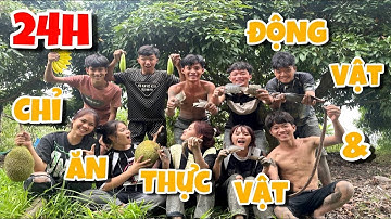 Anh Ba Phai | Thử Thách 24h Cắm Trại Sinh Tồn Chỉ Ăn Thực Vật - Động Vật