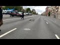 В Москве перекрыли Ленинский проспект, чтобы утки ее перешли / RuNews24