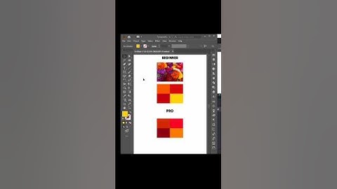 Difference between beginner and pro graphic designer #adobeillustrator #graphicdesign