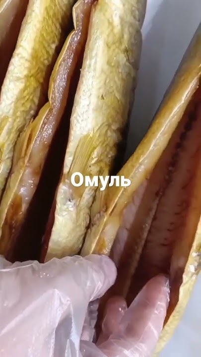 омуль холодного копчения #омуль - YouTube