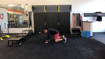 Matthew Ibrahim | All Fours Iso w/ 1-Arm Shoulder Tap