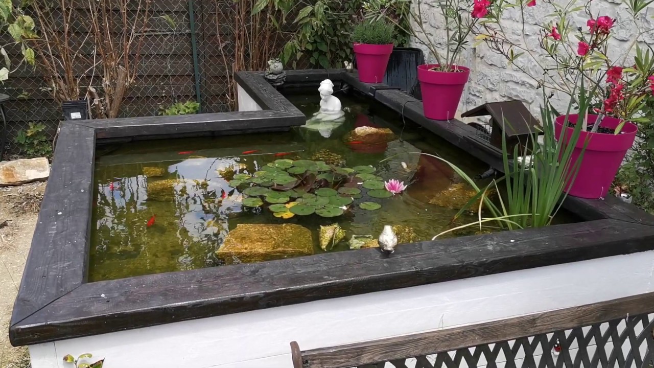 Bassin bois extérieur poisson rouge 2000 litres YouTube