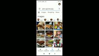 Guinea Pig Get Meat On Peru