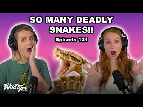 African reptiles you've never heard of! | Episode 121