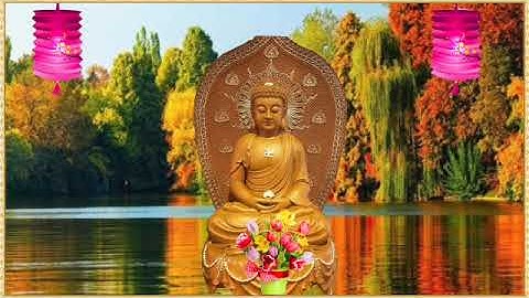 Nhạc Thiền Tĩnh Tâm Ngủ Ngon An Lạc - Dứt Sạch Muộn Phiền Khổ Đau