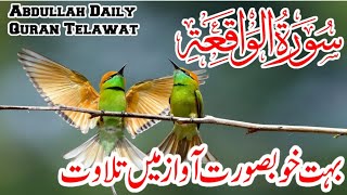 Surah Waqiah | Ep13 | surah Waqiah beautiful voice heart touching | Abdullah Daily Quran Telawat