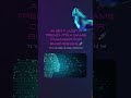 Unleashing AI: Transforming Business Performance | Radha Software Solutions #marketingmagic
