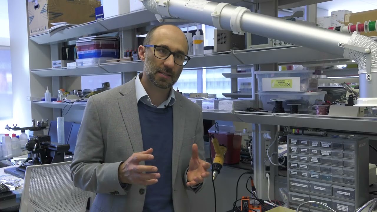 Stress could be a contributing factor to Alzheimer’s and dementia | Prof. Patrick Drew