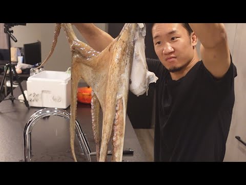 生きたタコをそのまま食べてみた