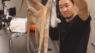 生きたタコをそのまま食べてみた