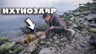 НАШЕЛ СКЕЛЕТ ИХТИОЗАВРА | Экспедиция в ЮРСКИЙ и МЕЛОВОЙ периоды