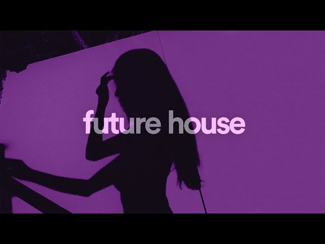 Best Future House Mix 2020 Vol.1 (Night Mix) class=