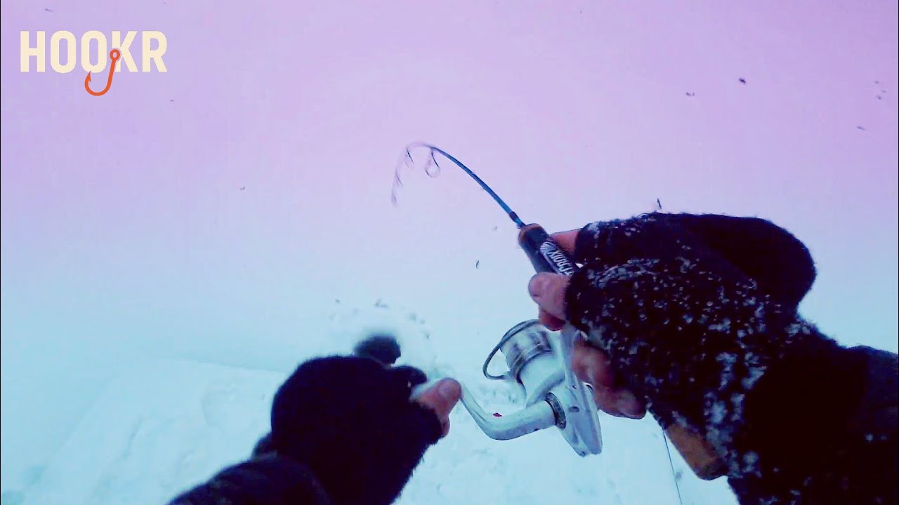 Рыбалка в реке при температуре -10°C… ТРИ ФОРЕЛИ… и одна загадочная рыба