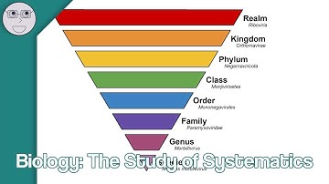 Biology: The Study of Systematics