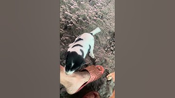 ngày 13 tháng 11 năm 2568 BE