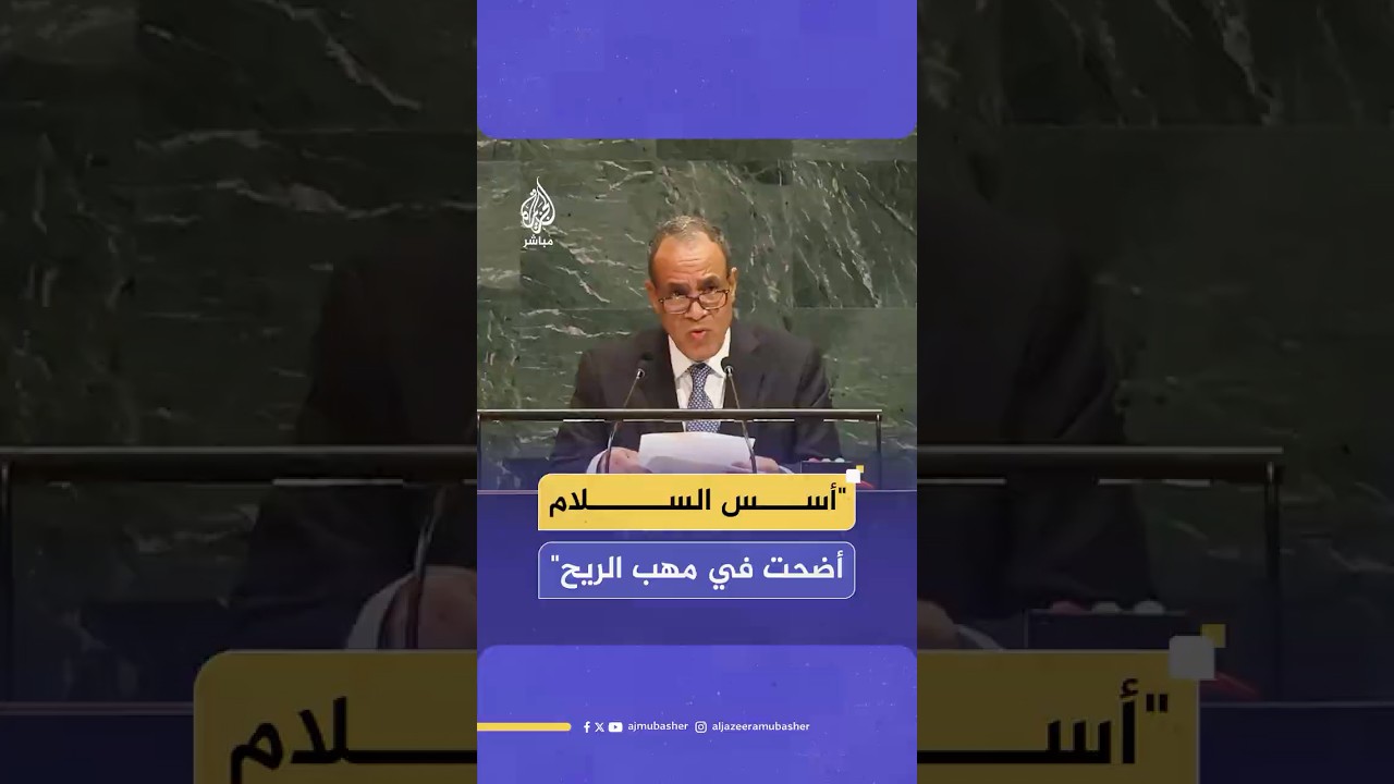 وزير الخارجية المصري: بعد عامين من العدوان الغاشم على غزة أضحت أسس السلام في مهب الريح