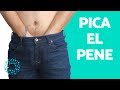 PICAZÓN en el PENE - ¿Por qué me PICA el PENE?