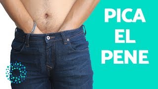 PICAZÓN en el PENE - ¿Por qué me PICA el PENE?