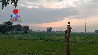 Cloud Symphony: Beautiful Time-Lapse Sunset in Cloudy Weather