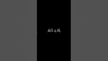 وَقالَ نوحٌ رَبِّ لا تَذَر عَلَى الأَرضِ || كروما قران كريم شاشة سوداء || احمد بن طالب