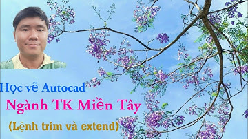 Vẽ Autocad  - Lệnh trim và extend (lệnh cắt bỏ và kéo dài đối tượng)