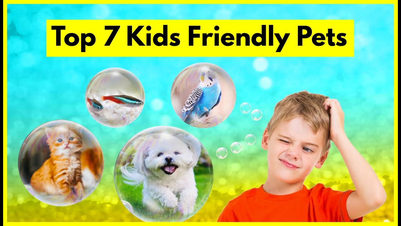 Top pets. Kids and Pets. Pets for Kids. Новая Боровая Pets friendly. Pet and Kids friendly.