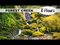 FOREST CREEK Nature Sounds Babbling Brook : Calm Music, Sleep Music, Stress Relief