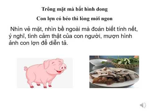 Tuần 23 MRVT Cái đẹp.
