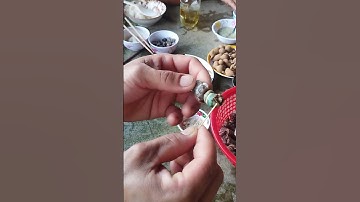 Cách ăn óc len độc đáo ở Cà Mau k cần chặt đích và hút nha