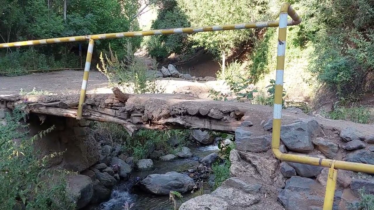 Çay məhəlləsi.Tivi kəndi