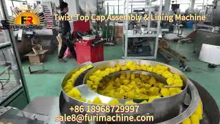 Celebrity Nozzle Cap Twist Top Cap Assembly Lining Machine Wealth