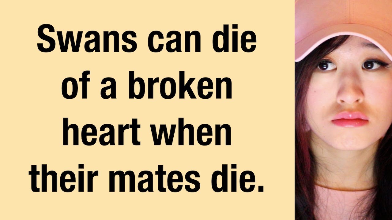 The Saddest Facts People Know