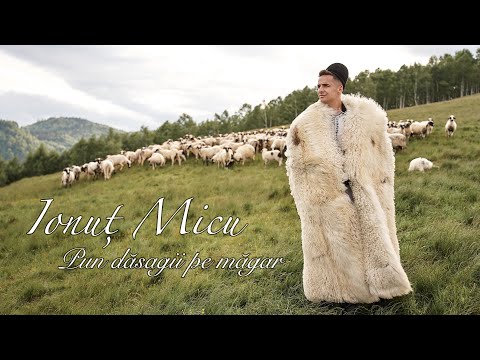 Ionut Micu si Adi Neamtu