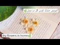 آموزش خشک کردن گل با نمک در منزل Dry Flowers With Salt