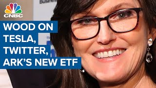Ark Invest's Cathie Wood: There's 'a sleeper' in Twitter most investors don't understand Wealth