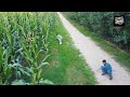 😁😁Drone funny video ,😆😆prank video,😱 || Most Funny Video 🤣 || #drone #prank #reaction #funny
