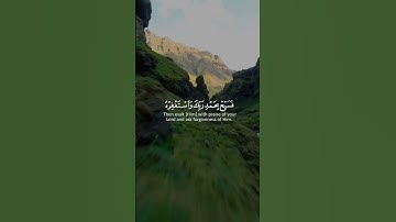 سورة النصر |  اسلام صبحي #quran #القرآن_الكريم #ارح_قلبك #tilawat #اسلام_صبحي