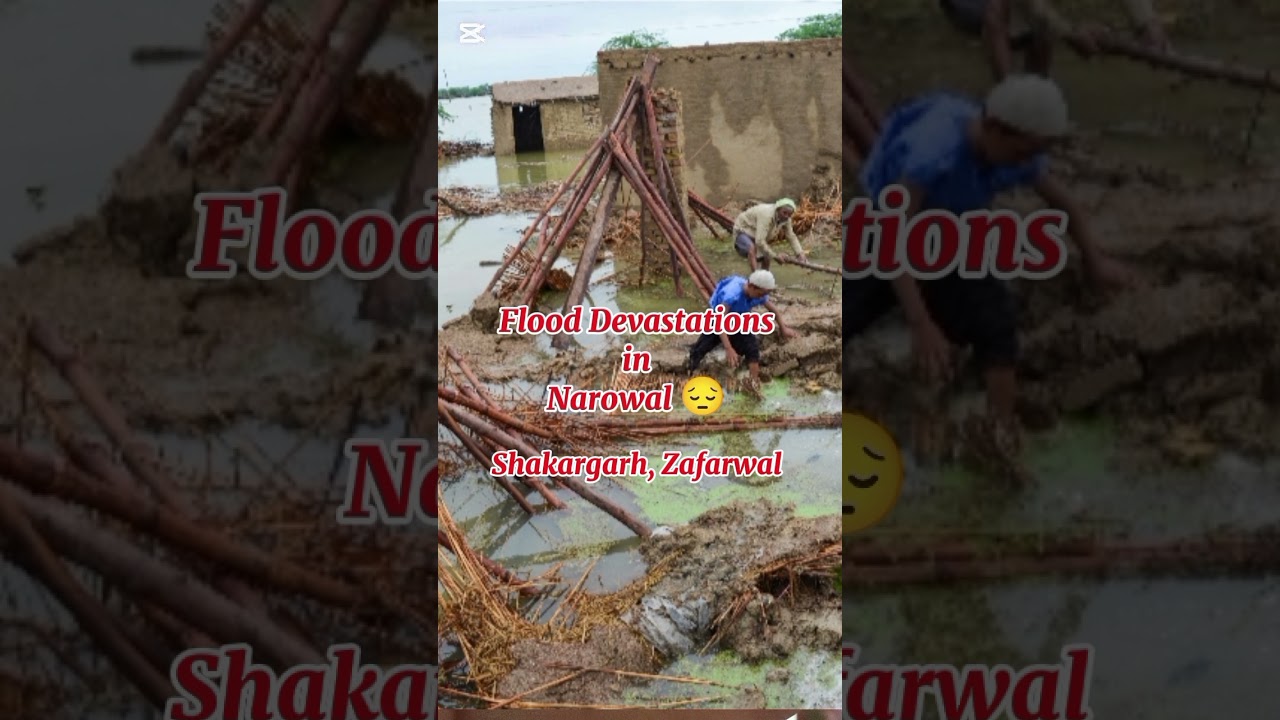Flood Devastations in Narowal, Shakargarh, Zafarwal 