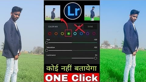 Snapseed Green And Bird Effect Photo Editing Tutorial | Snapseed Background Colour Change Tricks