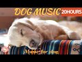 20 hours of deep sleep dog music  separation anxietydog relaxation musicstressed doghealingmate