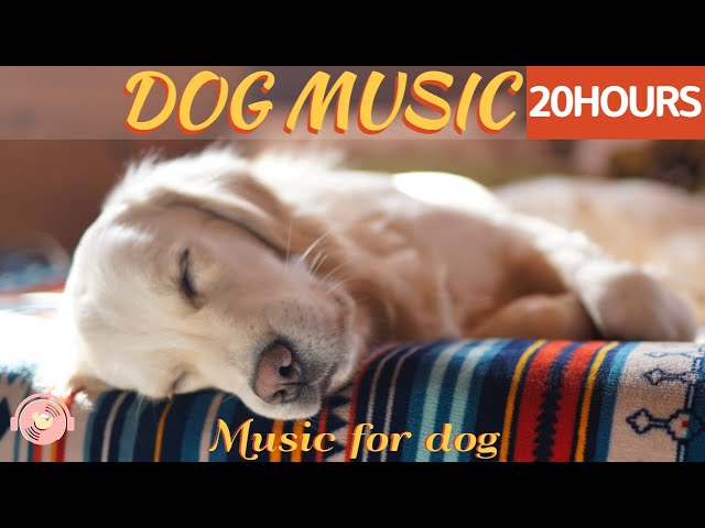 20 HOURS of Deep Sleep Dog Music & Separation anxiety🐶💖Dog Relaxation Music🎵stressed dog🐶healingmate class=