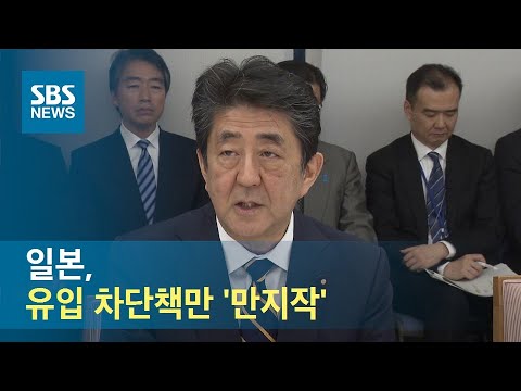 "대구 · 청도 입국금지 지역"…일본, 유입 차단책만 '만지작' / SBS