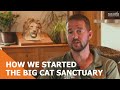 The Story of The Big Cat Sanctuary