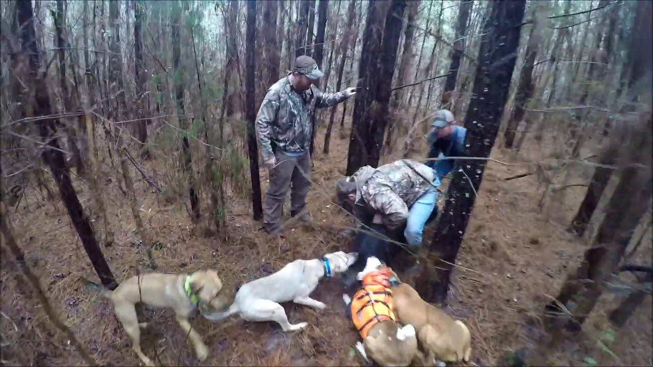 Caught N Tyed "Alabama Hog Hunting" YouTube