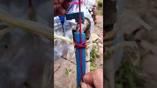 Easy and strong knot rope 🪢 #tips #knot #tricks