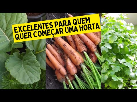 Vídeo: Vidro resistente ao calor: características de fabricação e escopo