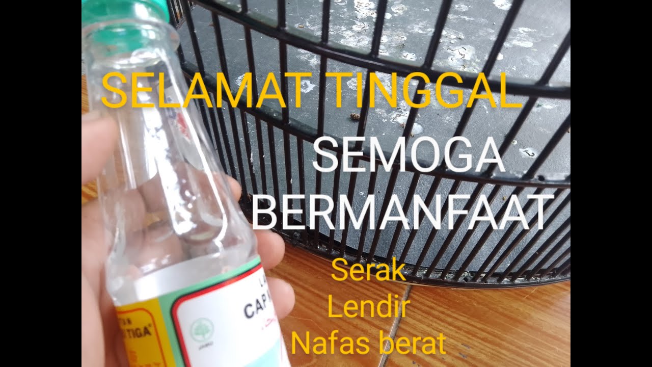 SEMOGA BERMANFAAT||IPULMANUK